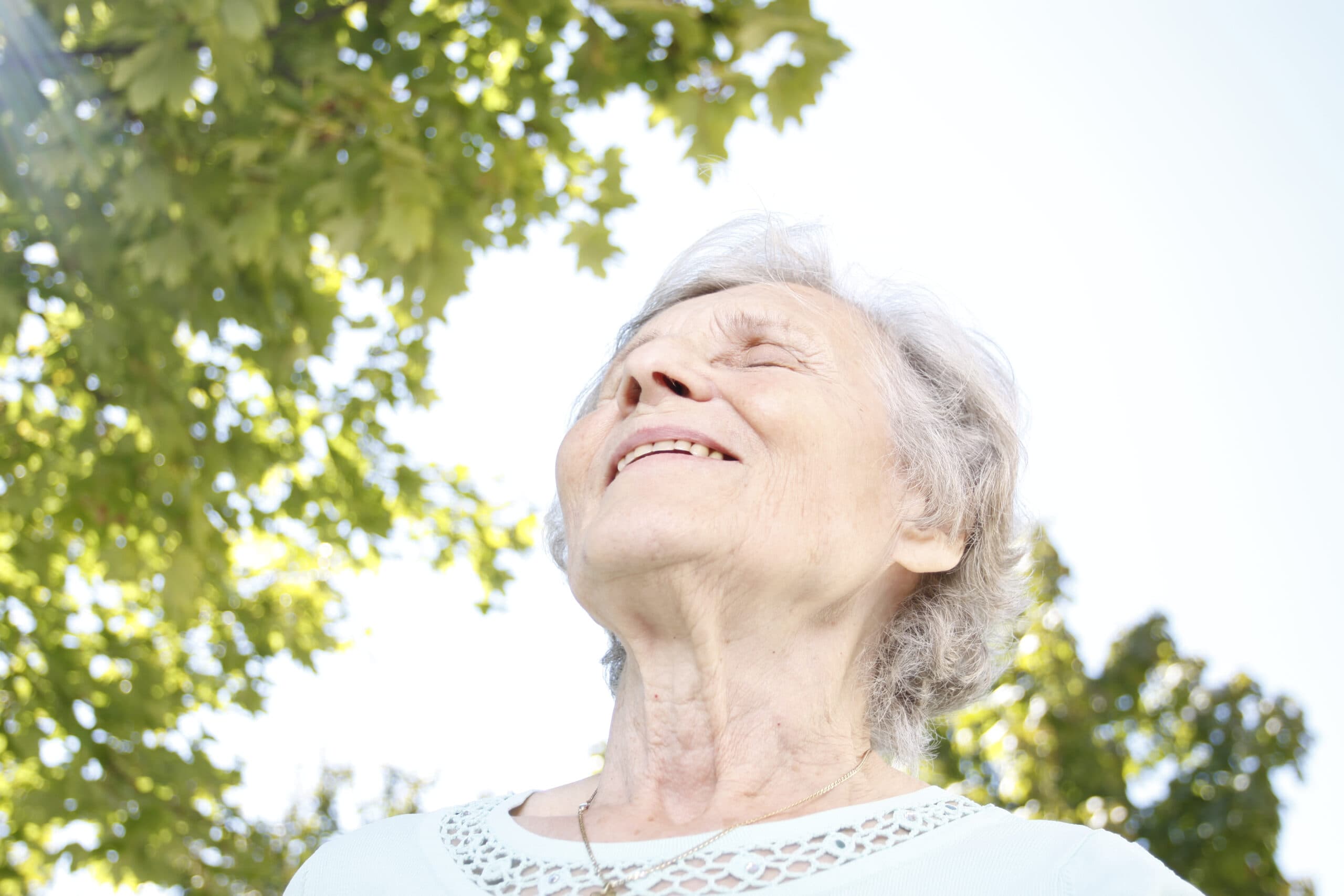 Photo de présentation